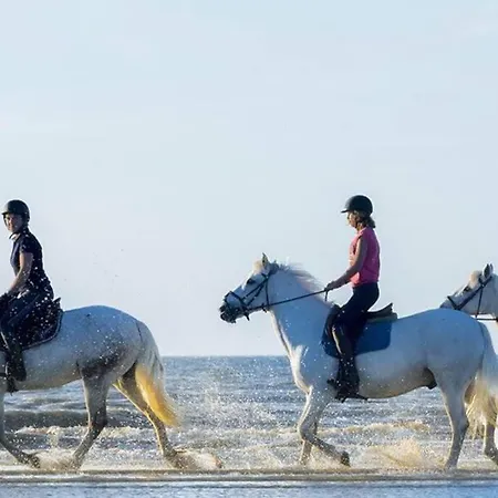 Cabourg-la A Perte De Vue Διαμέρισμα *