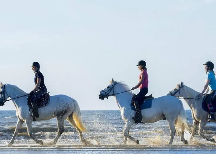 Cabourg-la A Perte De Vue Apartman *